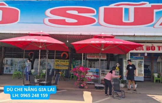 dù che nắng ở gia lai