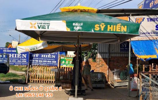 dù che nắng tại quận 6