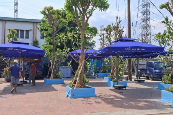 dù lệch tâm ở bảo lộc